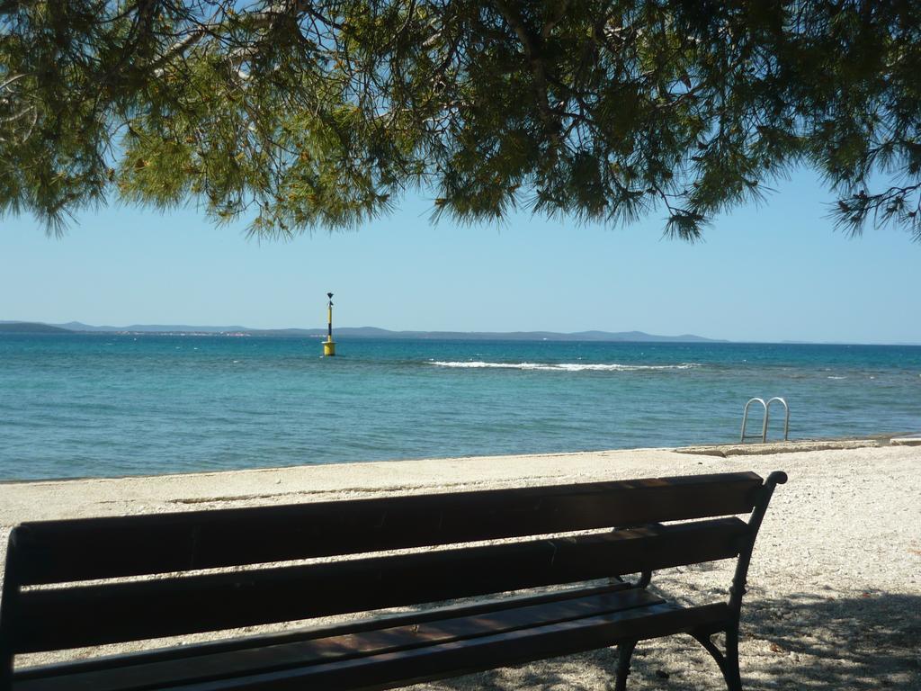Dora * Zadar